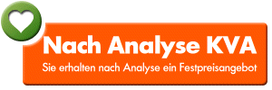 Analyseformular